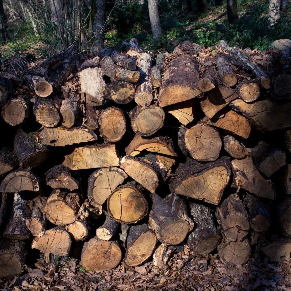 Firewood For Sale In Woodinville &Amp; Greater Seattle | Aadams Tree Service, Tree Care, Tree Trimming &Amp; Pruning, Tree Removal, Stump Grinding | Tree Service, Tree Trimming &Amp; Pruning, Tree Removal, Stump Grinding | Aadams Tree Firewood 1