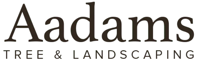 Aadams Tree Service