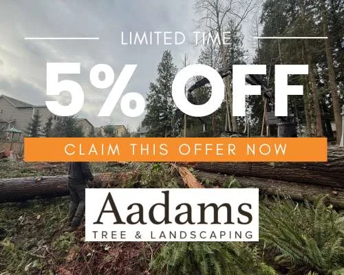 Request A Quote | Aadams Tree Service, Tree Care, Tree Trimming &Amp; Pruning, Tree Removal, Stump Grinding | Tree Service, Tree Trimming &Amp; Pruning, Tree Removal, Stump Grinding | Aadams Tree Offer