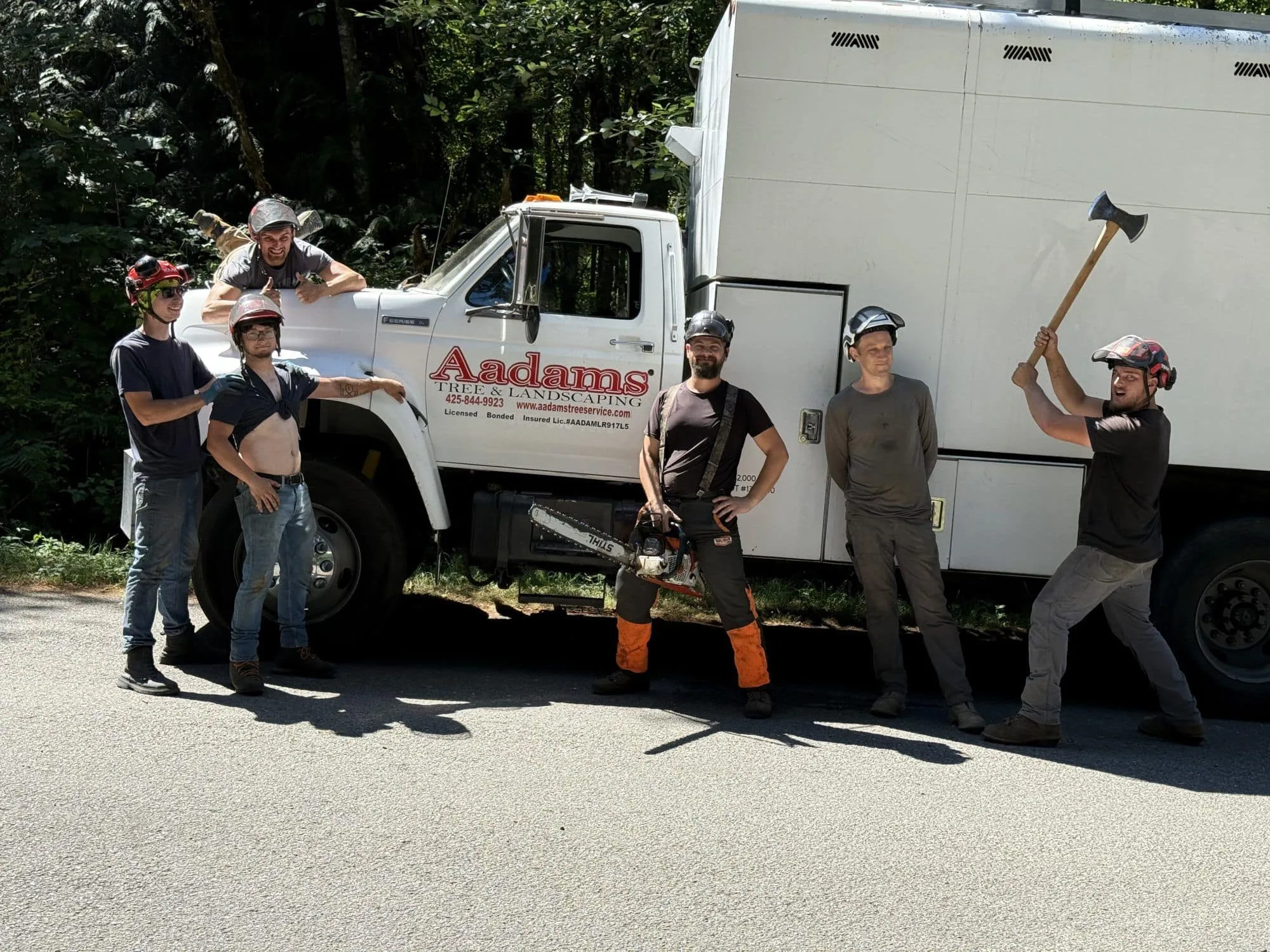 About Us | Aadams Tree Service, Tree Care, Tree Trimming &Amp; Pruning, Tree Removal, Stump Grinding | Tree Service, Tree Trimming &Amp; Pruning, Tree Removal, Stump Grinding | Aadams Tree Service Stump Grinding 24