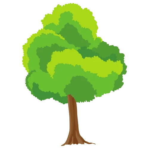 Free Price Estimator | Aadams Tree Service, Tree Care, Tree Trimming &Amp; Pruning, Tree Removal, Stump Grinding | Tree Service, Tree Trimming &Amp; Pruning, Tree Removal, Stump Grinding | Deciduous