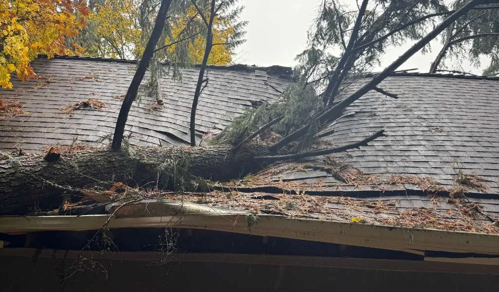 Emergency Services Wind &Amp; Storm Damage | Aadams Tree Service, Tree Care, Tree Trimming &Amp; Pruning, Tree Removal, Stump Grinding | Tree Service, Tree Trimming &Amp; Pruning, Tree Removal, Stump Grinding | Emergency Services For Wind Storm Damage